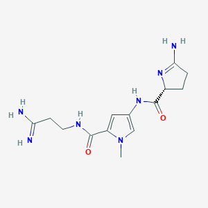 molecular formula C14H21N7O2 B1197709 4-[[(2R)-5-amino-3,4-dihydro-2H-pyrrole-2-carbonyl]amino]-N-(3-amino-3-imino-propyl)-1-methyl-pyrrole-2-carboxamide 