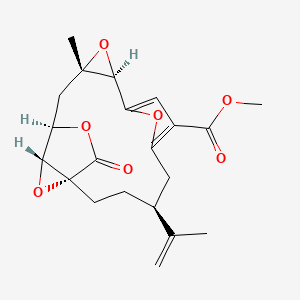 molecular formula C21H24O7 B1197867 11,12-Epoxypukalide CAS No. 95925-22-7
