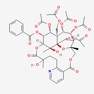 molecular formula C43H49NO19 B1197929 Wilfordine 