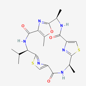 molecular formula C21H24N6O4S2 B1198202 Dendroamide A CAS No. 176666-84-5