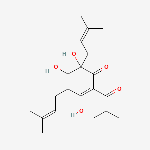 molecular formula C21H30O5 B1198360 3,5,6-Trihydroxy-2-(2-methylbutanoyl)-4,6-bis(3-methylbut-2-enyl)cyclohexa-2,4-dien-1-one CAS No. 31769-65-0