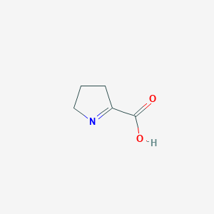 molecular formula C5H7NO2 B1198428 3,4-Dihydro-2H-pyrrole-5-carboxylic acid CAS No. 2139-03-9