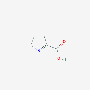 1-Pyrroline-2-carboxylic acid