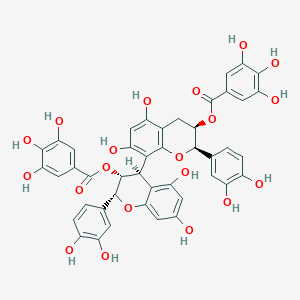 B119846 3,3'-Digalloylprocyanidin B2 CAS No. 79907-44-1