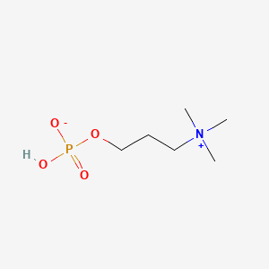 molecular formula C6H16NO4P B1198475 Phosphorylhomocholine CAS No. 53218-02-3