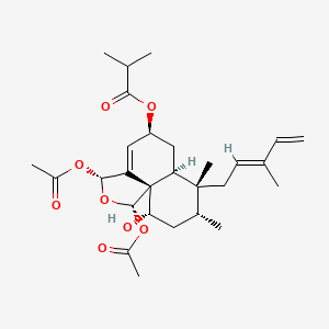 molecular formula C28H40O8 B1198532 [(1S,3R,5S,6aS,7R,8R,10S,10aS)-1,3-diacetyloxy-10-hydroxy-7,8-dimethyl-7-[(2E)-3-methylpenta-2,4-dienyl]-1,3,5,6,6a,8,9,10-octahydrobenzo[d][2]benzofuran-5-yl] 2-methylpropanoate 