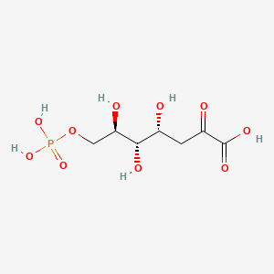 molecular formula C7H13O10P B1198679 3-deoxy-D-arabino-heptulosonate 7-phosphate CAS No. 2627-73-8