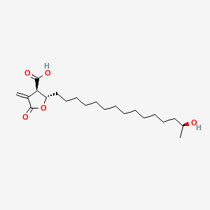 molecular formula C21H36O5 B1198695 Protoconstipatic acid CAS No. 73036-29-0