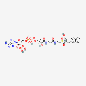 molecular formula C36H48N7O19P3S B1198752 Naphthyl-2-methyl-succinyl-CoA 
