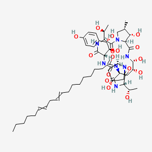 molecular formula C52H81N7O16 B1198774 N-[(3S,6S,9S,11R,15S,18S,20R,21R,24S,25S,26S)-6-[(1S,2S)-1,2-dihydroxy-2-(4-hydroxyphenyl)ethyl]-11,20,21,25-tetrahydroxy-3,15-bis[(1S)-1-hydroxyethyl]-26-methyl-2,5,8,14,17,23-hexaoxo-1,4,7,13,16,22-hexazatricyclo[22.3.0.09,13]heptacosan-18-yl]octadeca-9,12-dienamide 