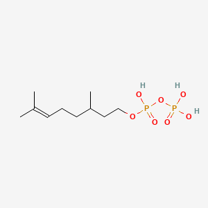 molecular formula C10H22O7P2 B1198832 3,7-Dimethyloct-6-enyl phosphono hydrogen phosphate CAS No. 20321-24-8
