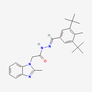 molecular formula C26H34N4O B11988724 N'-[(E)-(3,5-Ditert-butyl-4-methylphenyl)methylidene]-2-(2-methyl-1H-benzimidazol-1-YL)acetohydrazide CAS No. 303093-87-0