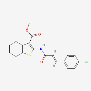 molecular formula C19H18ClNO3S B11990909 Methyl 2-{[(2E)-3-(4-chlorophenyl)-2-propenoyl]amino}-4,5,6,7-tetrahydro-1-benzothiophene-3-carboxylate 