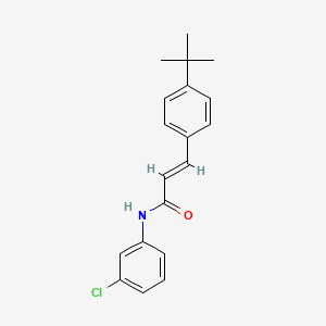 molecular formula C19H20ClNO B11991174 3-(4-Tert-butylphenyl)-N-(3-chlorophenyl)acrylamide 