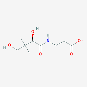molecular formula C9H16NO5- B1199149 D-pantothenic acid CAS No. 20938-62-9