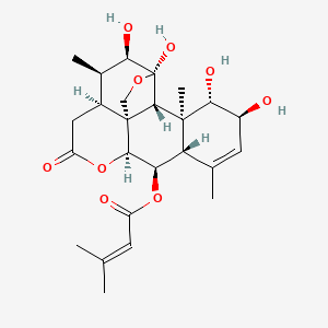 molecular formula C25H34O9 B1199282 6alpha-Senecioyloxychaparrin CAS No. 82151-95-9