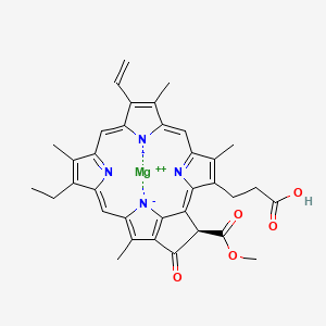 Protochlorophyllide