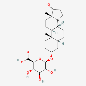 molecular formula C25H38O8 B1199400 雄甾酮葡萄糖苷酸 CAS No. 1852-43-3