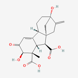 molecular formula C19H22O7 B1199430 Gibberellin A8-catabolite CAS No. 78791-79-4