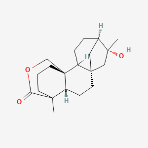 molecular formula C20H30O3 B1199574 Hypodiolide A 