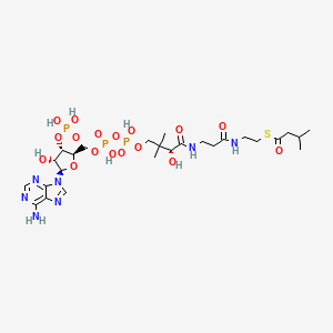 molecular formula C26H44N7O17P3S B1199664 Isovaleryl-CoA CAS No. 6244-91-3