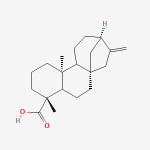 molecular formula C20H30O2 B1199852 (1S,5R,9S,13R)-5,9-dimethyl-14-methylidenetetracyclo[11.2.1.01,10.04,9]hexadecane-5-carboxylic acid 