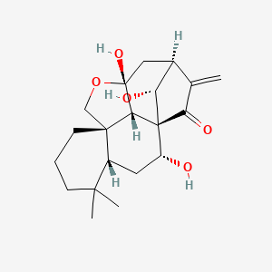 molecular formula C20H28O5 B1199900 Pseudoirroratin A 