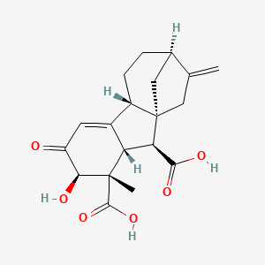 Gibberellin A34-catabolite