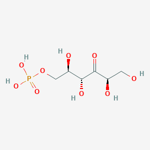 molecular formula C6H13O9P B1200141 D-arabino-hex-3-ulose 6-phosphate CAS No. 53010-97-2
