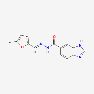 molecular formula C14H12N4O2 B12003016 N'-[(E)-(5-methyl-2-furyl)methylidene]-1H-benzimidazole-6-carbohydrazide 