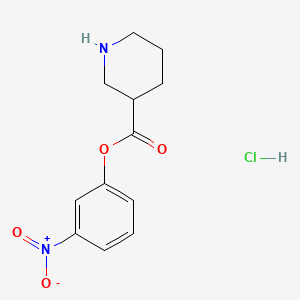 molecular formula C12H15ClN2O4 B1200362 3-Nitrophenyl 3-piperidinecarboxylate CAS No. 94528-08-2