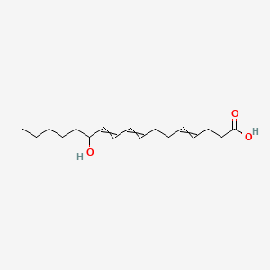 molecular formula C17H28O3 B1200624 12-Hydroxyheptadeca-4,8,10-trienoic acid 
