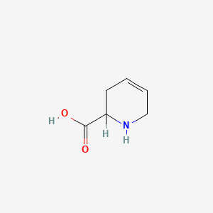 B1200670 1,2,3,6-Tetrahydro-2-pyridinecarboxylic acid CAS No. 498-98-6
