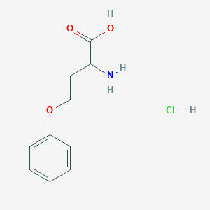 molecular formula C10H14ClNO3 B12007882 O-phenylhomoserine hydrochloride 