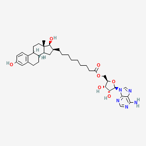 molecular formula C37H51N5O7 B1200904 O5'-[9-(3,17B-Dihydroxy-1,3,5(10)-estratrien-16B-YL)-nonanoyl]adenosine 