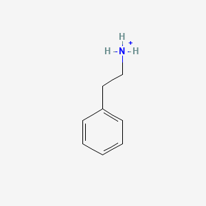 molecular formula C8H12N+ B1200905 2-Phenylethanaminium 