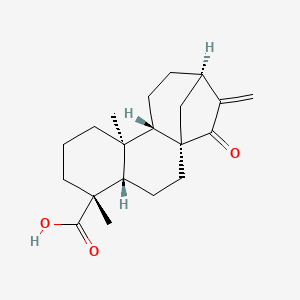molecular formula C20H28O3 B1200975 ent-15-Oxo-16-kauren-19-oic acid CAS No. 6620-00-4