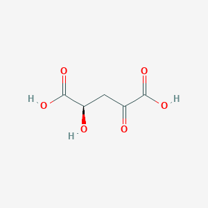 D-4-Hydroxy-2-oxoglutarate