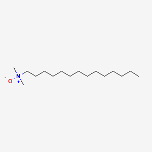 molecular formula C16H35NO B1201591 Myristamine oxide CAS No. 3332-27-2
