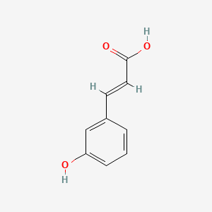 molecular formula C9H8O3 B1201810 3-Hydroxycinnamic acid CAS No. 588-30-7