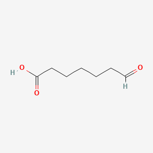 molecular formula C7H12O3 B1201895 7-Oxoheptanoic acid CAS No. 35923-65-0