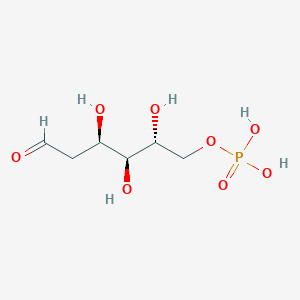molecular formula C6H13O8P B1201913 2-DEOXY-D-GLUCOSE-6-PHOSPHATE CAS No. 3573-50-0