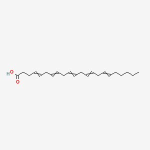 molecular formula C22H34O2 B1201990 Docosa-4,7,10,13,16-pentaenoic acid 