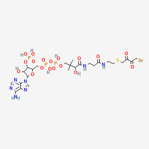 molecular formula C25H39BrN7O18P3S B1202002 S-(4-Bromo-2,3-dioxobutyl)-coa CAS No. 66686-64-4