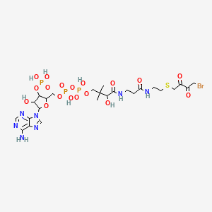 S-(4-Bromo-2,3-dioxobutyl)-coa