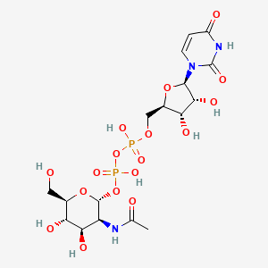 UDP-N-acetyl-alpha-D-mannosamine