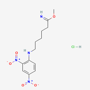 molecular formula C13H19ClN4O5 B1202158 Methyl epsilon-(N-2,4-dinitrophenyl)aminocaproimidate CAS No. 62902-17-4