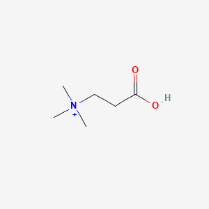 molecular formula C6H14NO2+ B1202163 Methylbetaine CAS No. 13441-31-1
