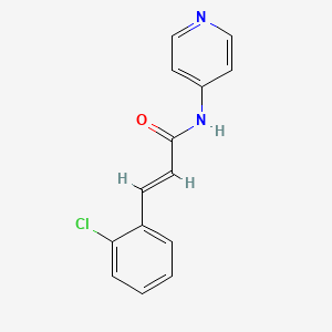 molecular formula C14H11ClN2O B1202441 3-(2-氯苯基)-N-4-吡啶基丙烯酰胺 