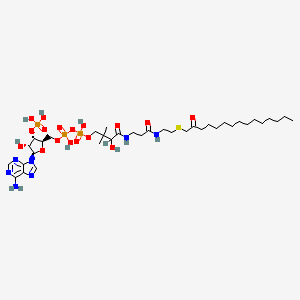 molecular formula C36H64N7O17P3S B1202506 Coenzyme A, S-(2-oxopentadecyl)- 